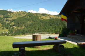 Гостиница Denisa's Lodge, Ариешени